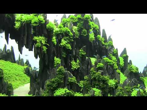 Aquascaping - IAPLC 2017 - Top 200 - by Marcin Zając