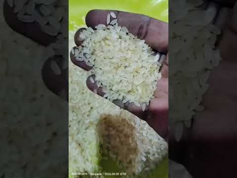 IR64 Parboiled Rice video 5