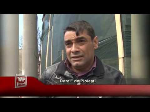 „Dorel” de Ploieşti