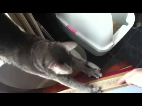 Saothai and Jaydee in the evening