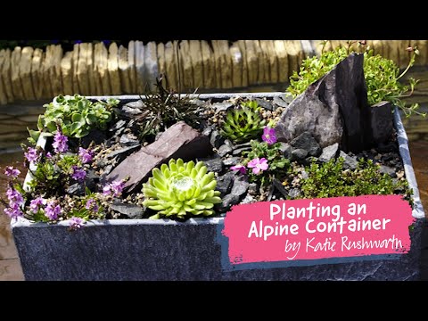 Planting an Alpine Container with Katie Rushworth