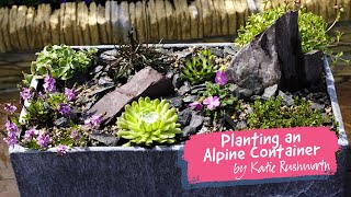 Planting an Alpine Container with Katie Rushworth