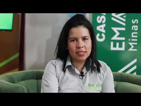 o caminho do queijo artesanal de serra do salitre