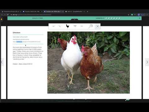 Evolution lab mission 2 starter