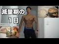 減量期の1日~腕の日~【筋トレ フィジーク】