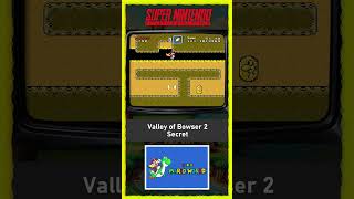 Capa de Valley of Bowser 2 (Secreta)