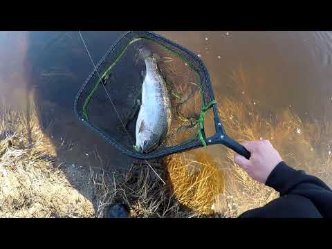 Merikarvianjoki pääsiäinen 2019