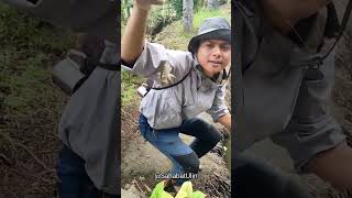 Download lagu CHANNA FISH FISHING #viral #like #news #channa #food mp3