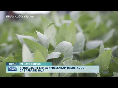 EM MATO GROSSO: APROSOJA MT e IMEA  apresentam resultados da safra de soja.