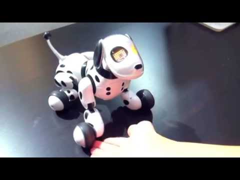 Ｈｅｌｌｏ！Ｚｏｏｍｅｒ (ハローズーマー) 　おて♪編