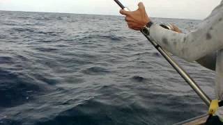 preview picture of video 'Pesca Deportiva  EL MATAL 2012 '