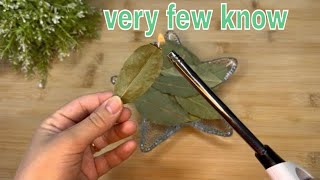 Burn 1 BAY LEAF in your house  AND THIS WILL HAPPEN TO YOU IN 5 MINUTES