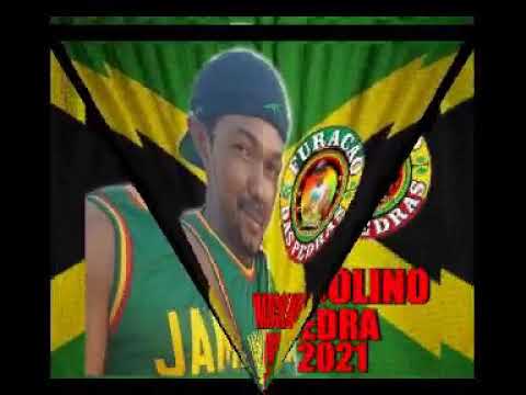 MARCOLINO PEDRA 2021( Sofia Karlberg - Too Good At GoodByes  REGGAE REMIX