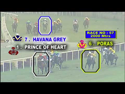 Calcutta Race Preview of 26th  December 2019