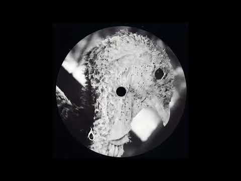Dorisburg - Serum [MOUNTAIN003]