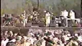 Golgi w/Giant Country Horns