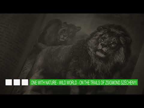 Egy a természettel - Vadonvilág - Széchenyi Zsigmond nyomában