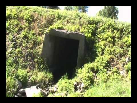 Insa-Cure - Hope & Pain (Bloopers)