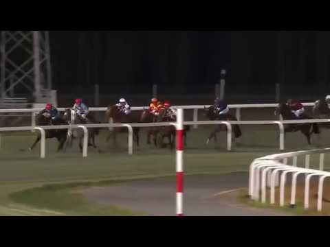 2017.10.19 Mr Ascot Vinterfavoriternas Pris (SWE) - I And I