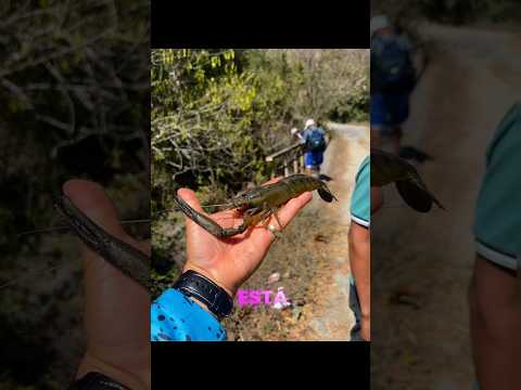 Asi nos recibio Santa maria Ostuma amigos una Bonita experiencia la verdad una bonita aventura