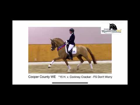 Cooper County WE 2020