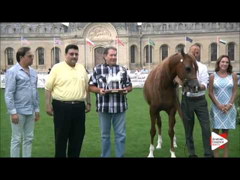 2nd Place N.70 PRUSSIA MI - Chantilly 2015 AWC - Colts Championship (Class 15)