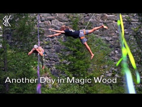 Another Day in Magic Wood