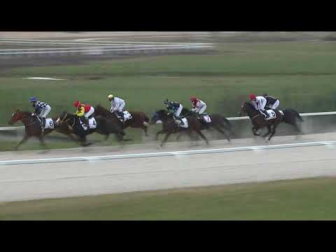 2020.12.13. 08. futam - KÖTELES BERTALAN EMLÉKVERSENY – BEVEZETŐSZÍJ HENDIKEP (IV.o.) (sz. pálya)