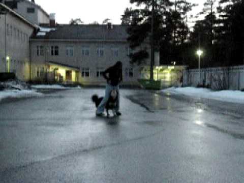 Rukan koiratanssireeniä