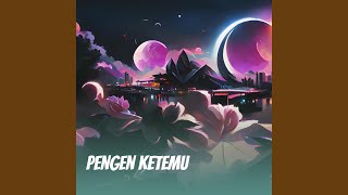 Download lagu Pengen ketemu (Remastered 2024) mp3 Download lagu Pengen ketemu (Remastered 2024) mp3