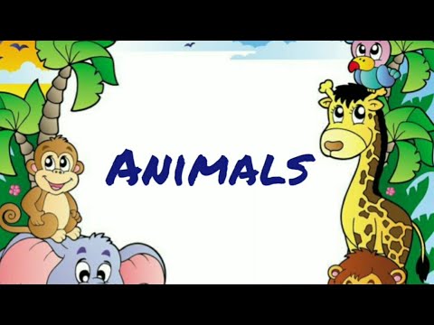 Animals names | Animals names for kids| English videos