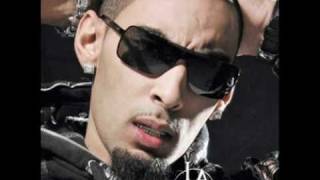 La fouine  Veni vidi vici