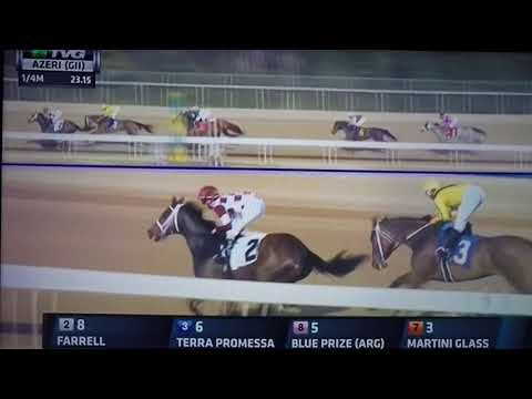 AZERI (G 2) STAKES 3/17/18 - MARTINI GLASS !!