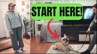 How to Get Your Stubborn Breed to Listen (Even If it Ignores You)