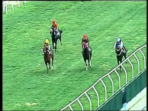 Galoppo 09/02/2016 - 1° corsa