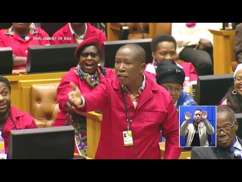 "Shut Up Julius Malema" - ANC MP In Parliament