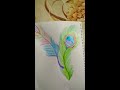 Ap Art Academy feathers