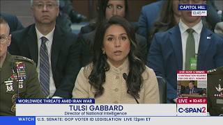 US-Geheimdienste: Wie KI und Cyber-Fähigkeiten die Sicherheitsarchitektur verändern