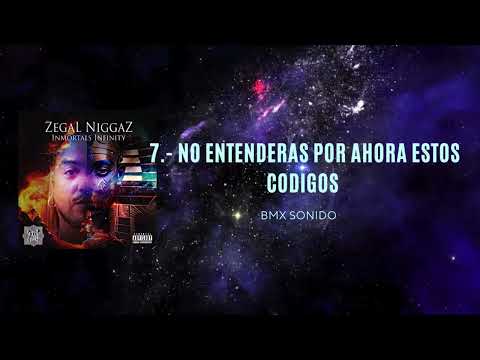 7.- ZegaL NiggaZ - ALBUM "INMORTALS INFINITY" - NO ENTENDERAS POR AHORA ESTOS CODIGOS #2024