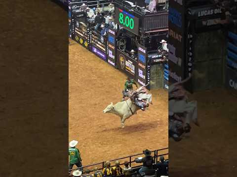 THE 2ND HIGHEST SCORING BULL RIDE IN @PBR HISTORY - Cassio Dias Rides Man Hater for 98.25!