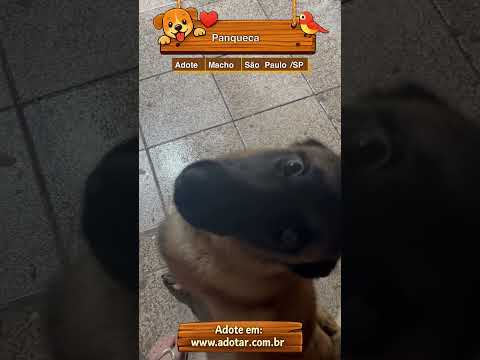 Vídeo de Panqueca