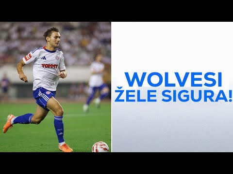 WOLVERHAMPTON ŽELI NIKU SIGURA!