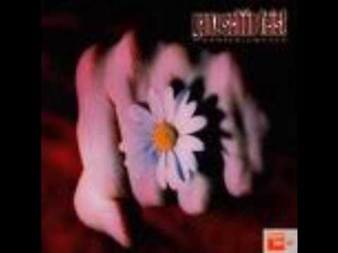 Ganz Schön Feist - Gänseblümchen