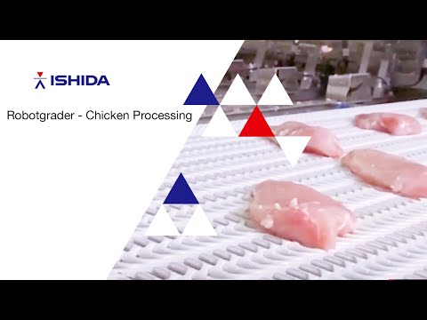 Robotgrading chicken fillets (NL)