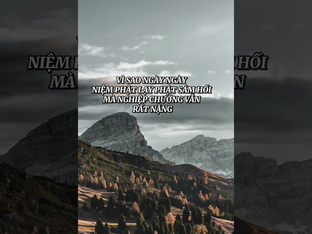 Tại Sao Niệm Phật,Lạy Phật,Sám Hối Mà Nghiệp Chướng Vẫn Rất Nặng