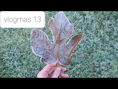 Yarnflakes Vlogmas 2021 - episode 13
