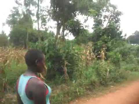 Obutasoma buluma akuze