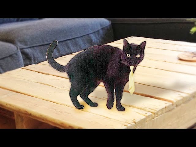 Sir Meows A Lot In Real Life Roblox Movie Vtomb - roblox animated sir meows a lot
