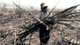 The Cambodian villages destroyed by the sugarcane industry | Guardian Investigations