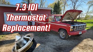 Ford 7.3. IDI THERMOSTAT Replacement: Symptoms and Replacement GUIDE